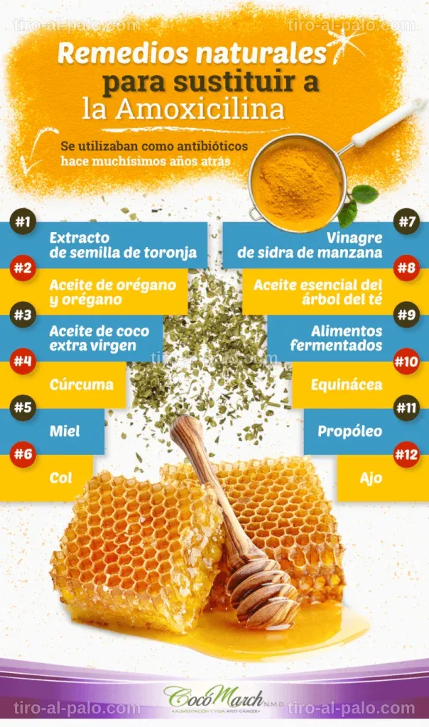 Diapositiva con información sobre amoxicilina y alternativas.