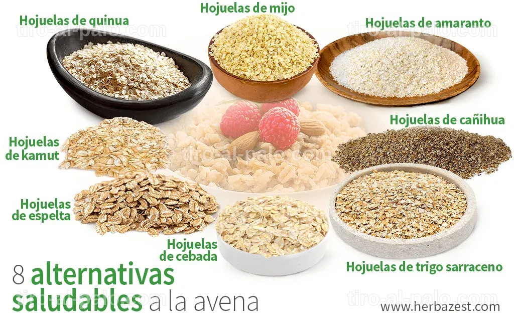 Amaranto: La Alternativa a la Avena que Debes Conocer