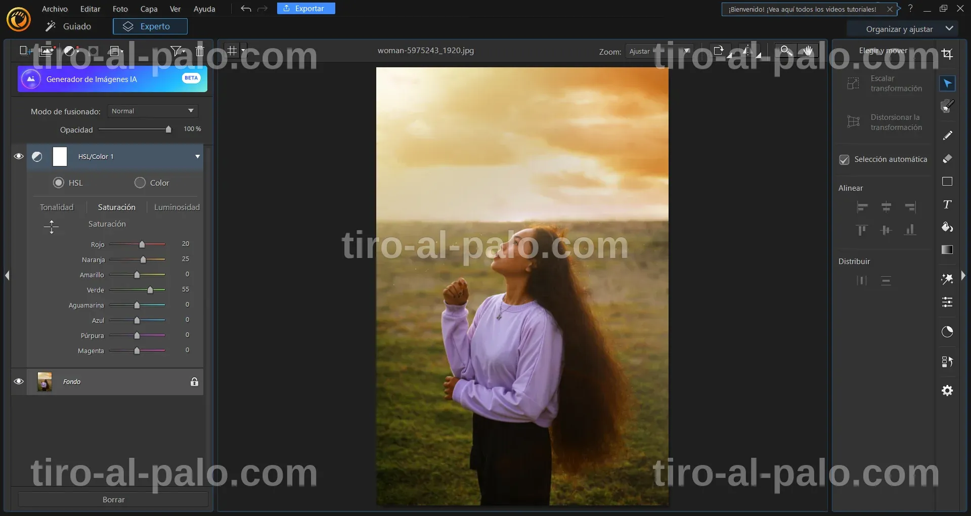 Pantalla mostrando varias opciones de software de edición de fotos gratuitas.