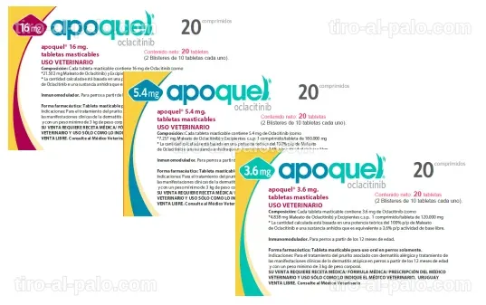Comparativa entre inyección Cytopoint y Apoquel para perros.