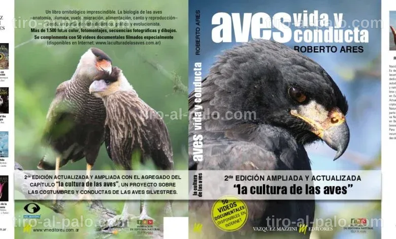 Tren AVE en movimiento, representando el servicio de alta velocidad.