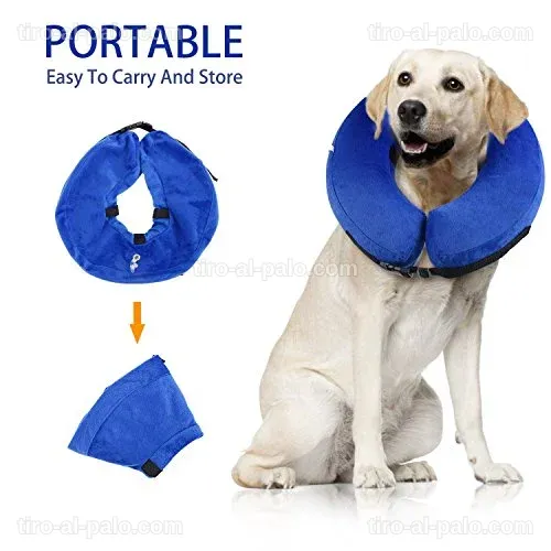 Ejemplo de una alternativa al collar isabelino, con enfoque en su diseño cómodo y funcional.