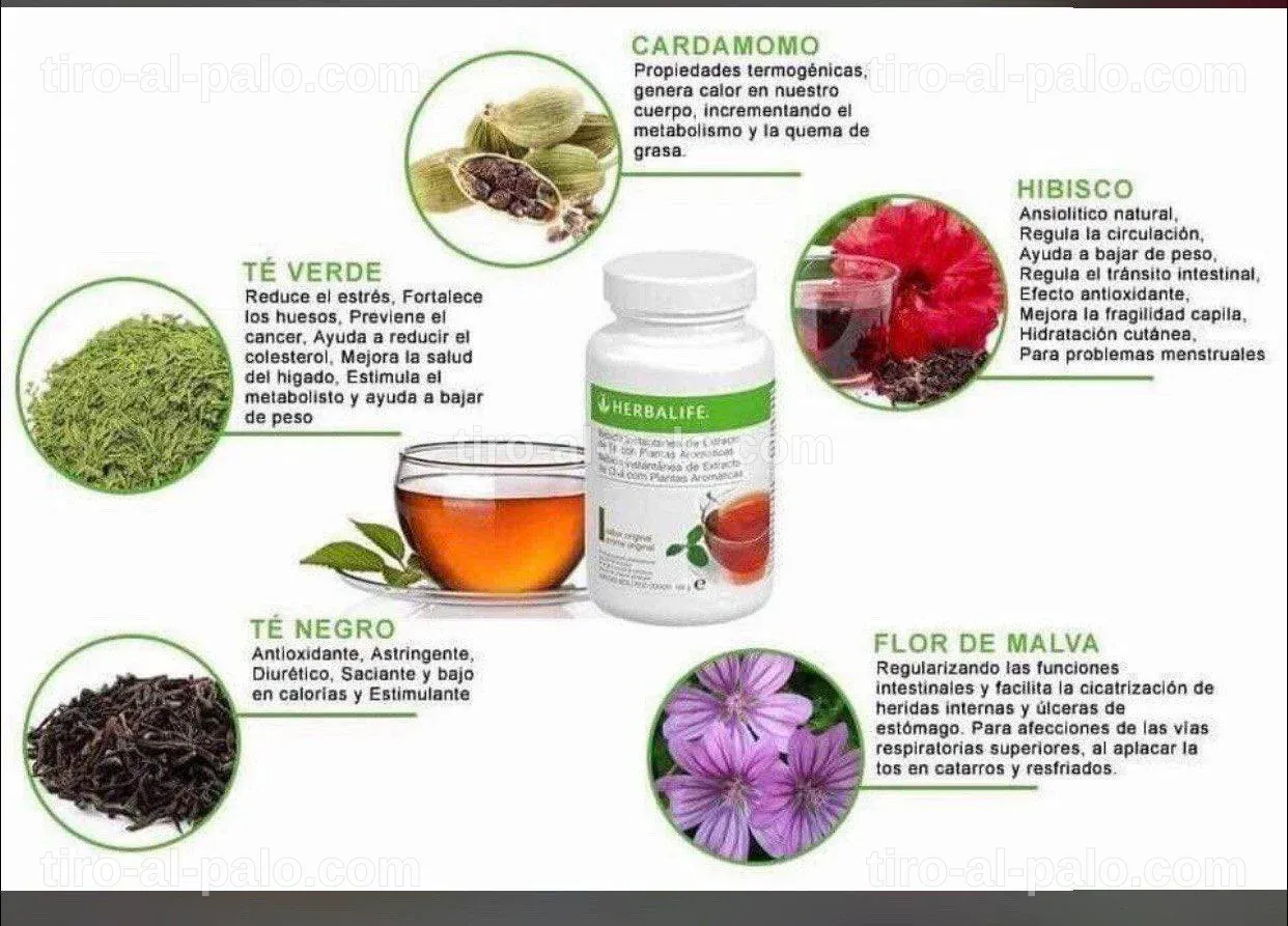 Taza de té con fondo decorado de hojas de té frescas.