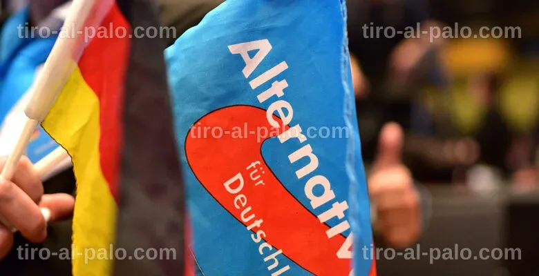 Manifestación con banderas y carteles de la AfD en una ciudad alemana.