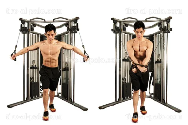 Comparativa visual de cruces de poleas altas y bajas para pectorales.