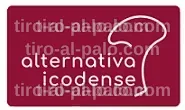 Miembros de Alternativa Icodense presentando propuestas para la inclusión en la ciudad.
