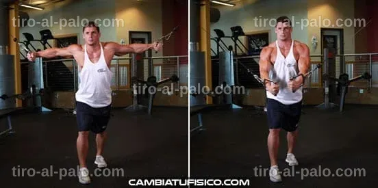 Entrenador mostrando el cruce de polea alta en una sesión de ejercicios.