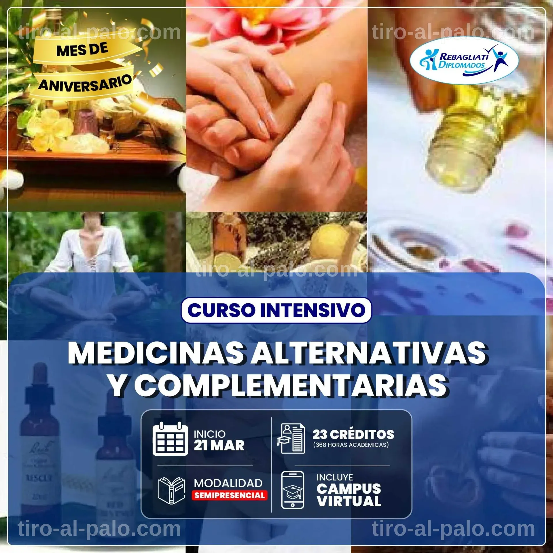 Cursos Medicina Alternativa: Transformando la Salud Holística