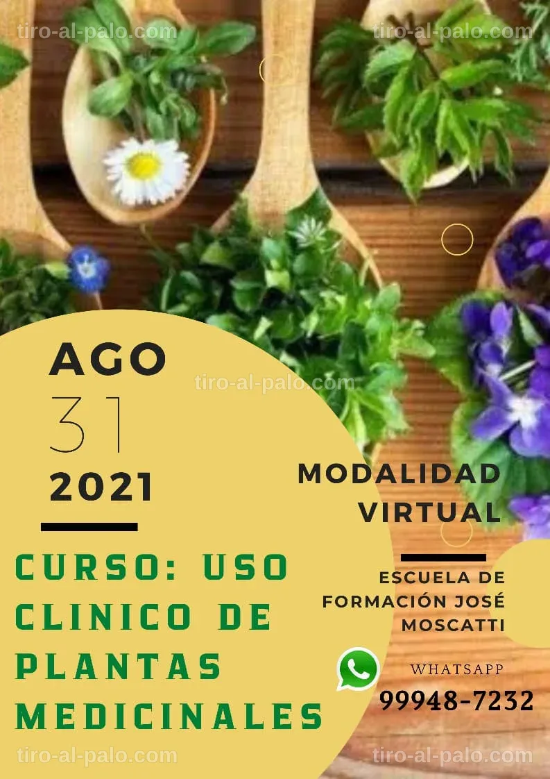 Estudiantes participando en un curso de medicina alternativa.