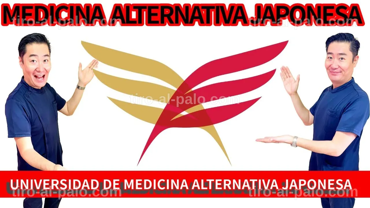 Ambiente tranquilo que fomenta el bienestar y la relajación.