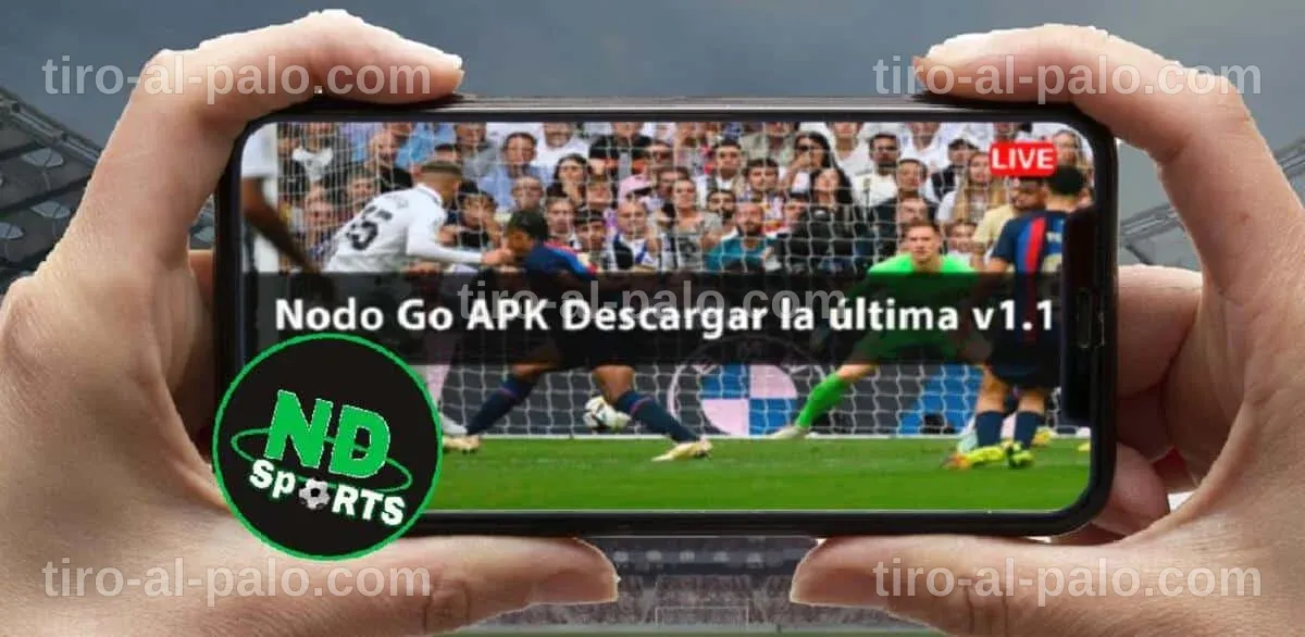 Alternativas a Nodo Sport No Funciona: Soluciones Efectivas