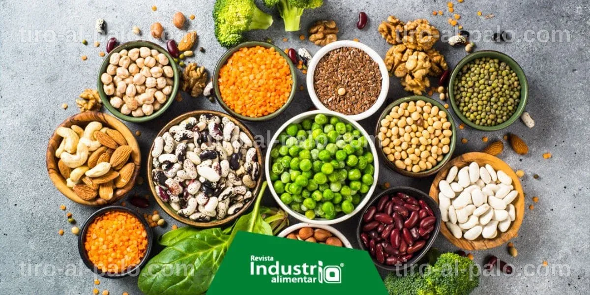 Proteina Alternativa: El Futuro de la Alimentación Sostenible
