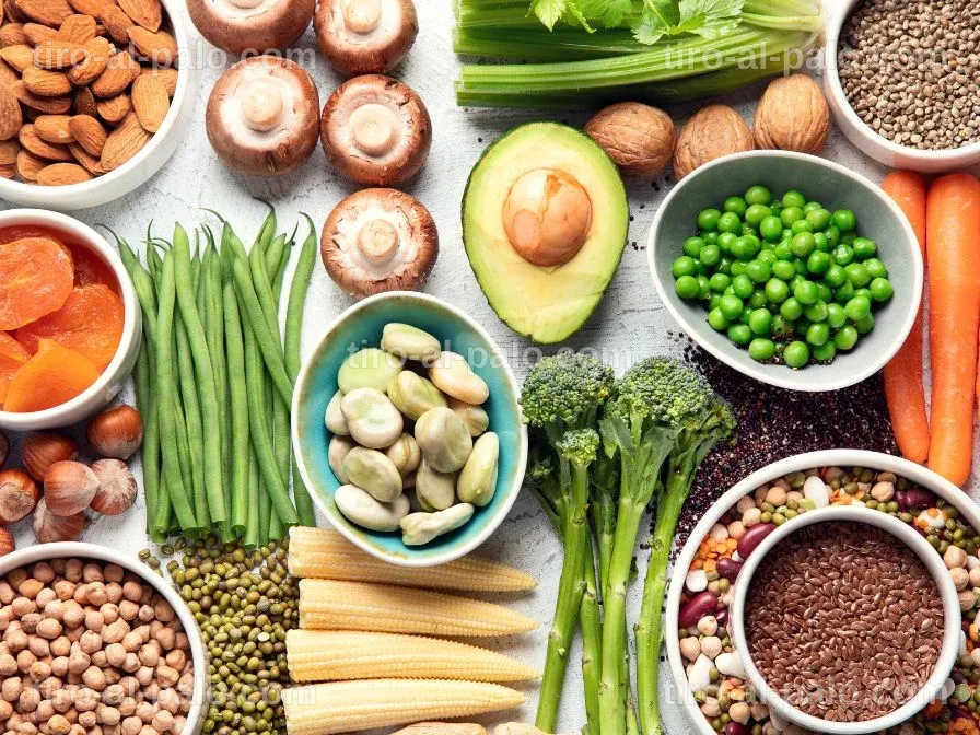 Diversas fuentes de proteínas alternativas, incluyendo legumbres y granos.