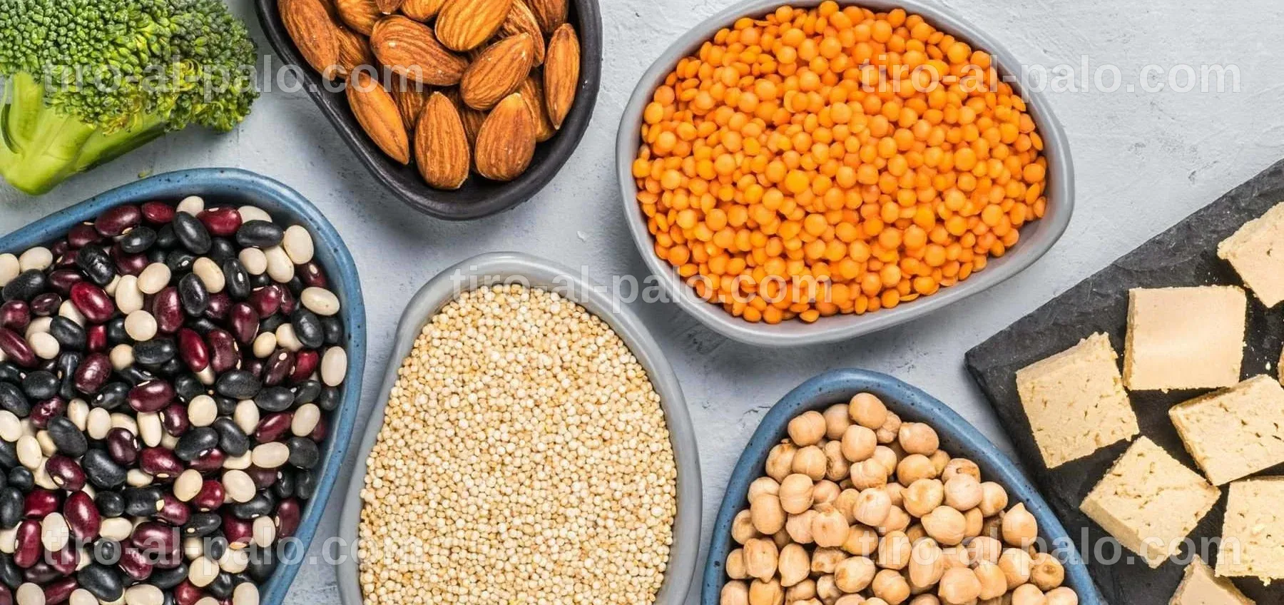 Cultivo de proteínas alternativas en una granja sostenible.