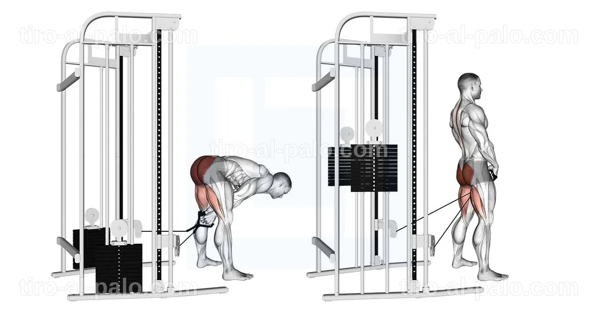 Efectividad del 'pull through alternativa' en el gimnasio