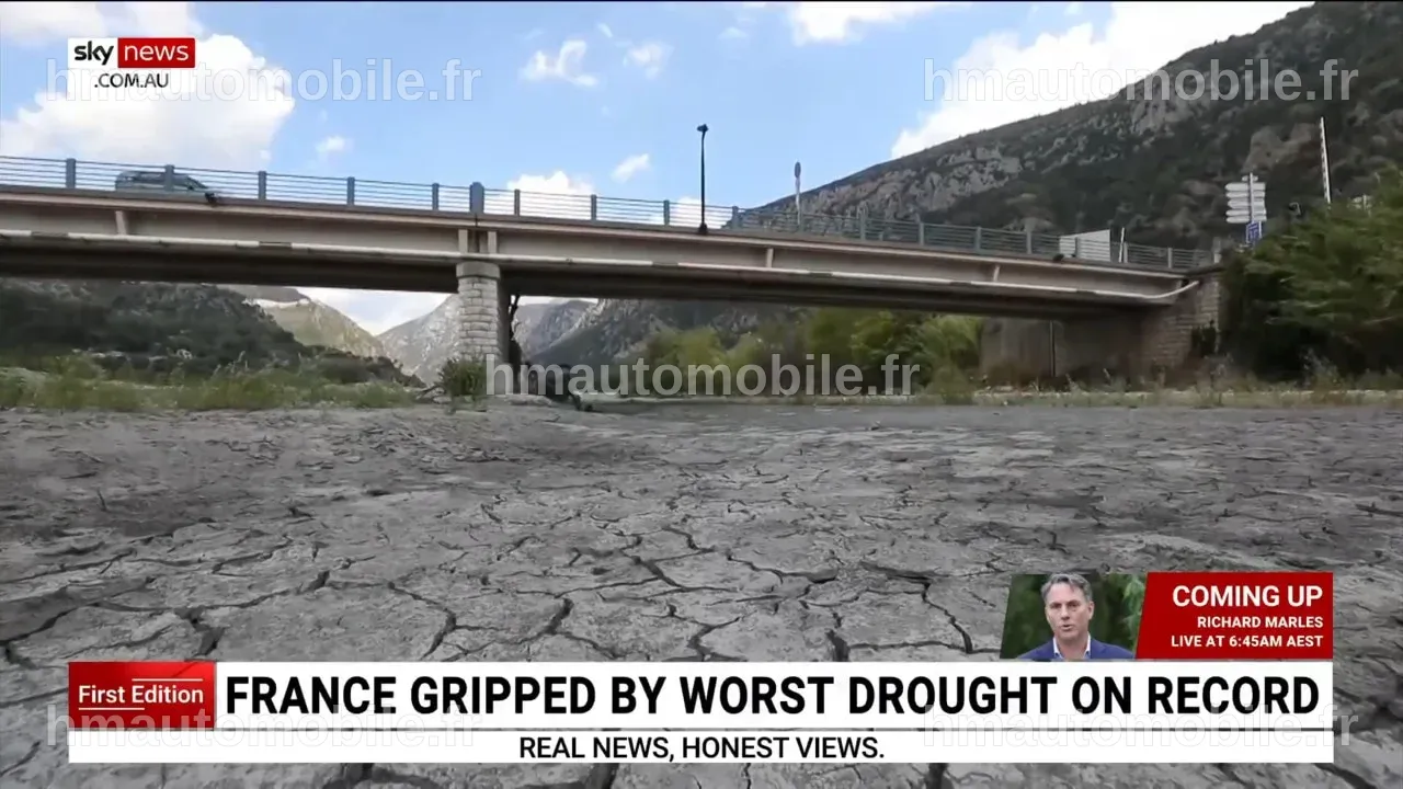 Champ de blé desséché en France, illustrant la sécheresse extrême.