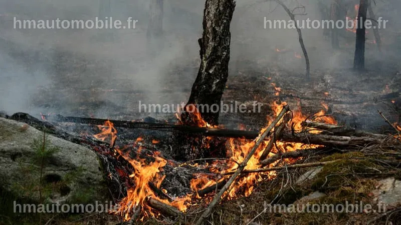 Incendies à Fontainebleau : Deux suspects impliqués