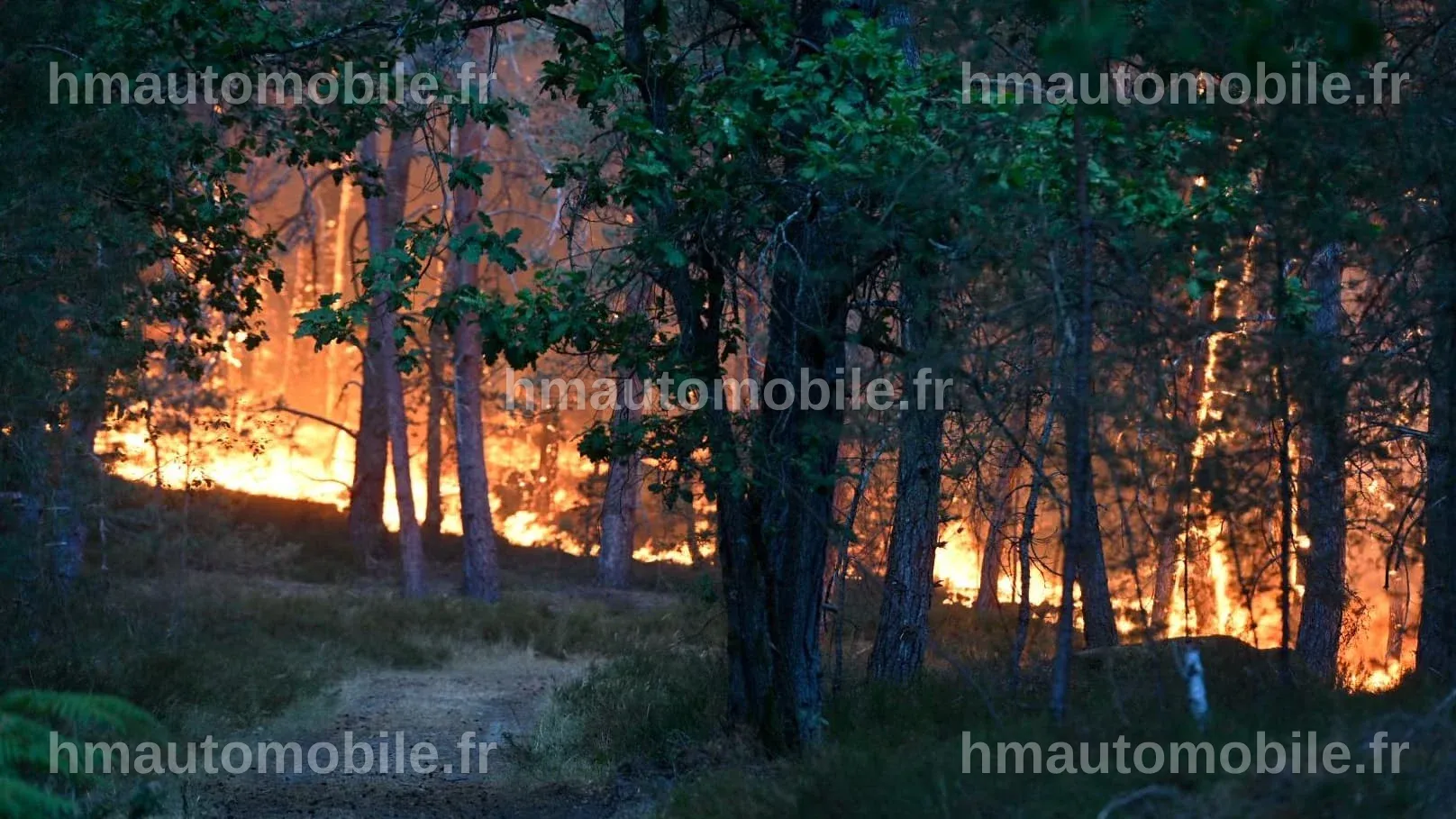 Portrait des deux suspects liés aux incendies à Fontainebleau.