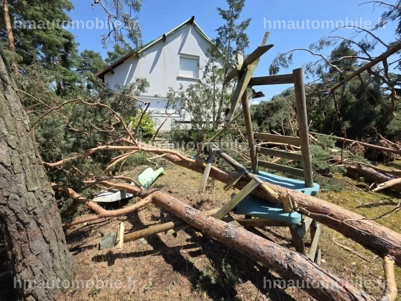 Maison endommagée avec des arbres tombés, vue depuis la fenêtre.